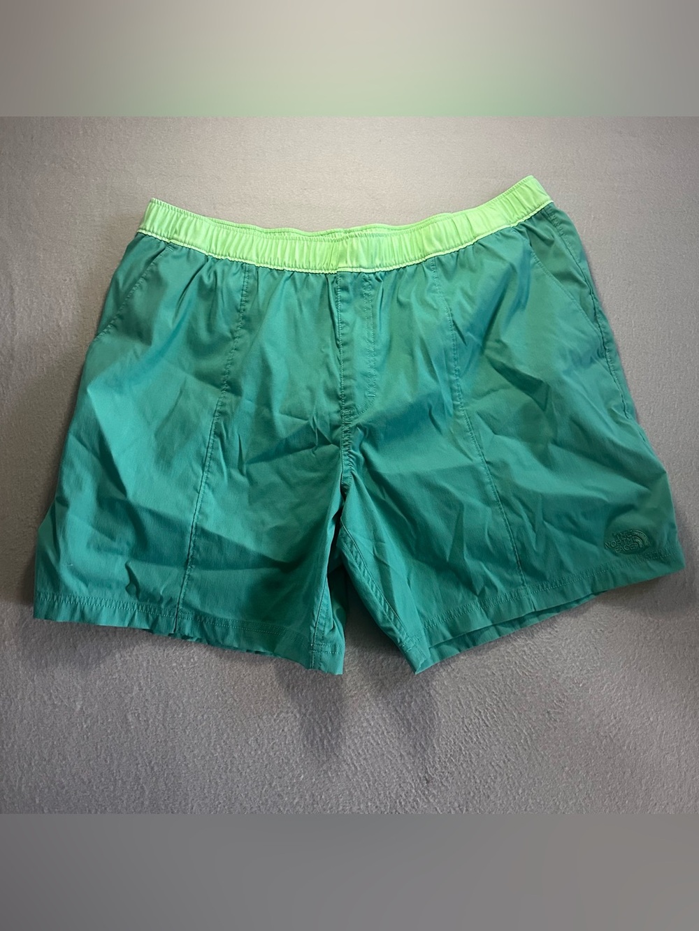 The North Face Mens Classic V Pull On Shorts Size XL Flash Dry Pockets